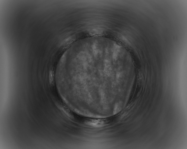 X0000087000130200705071513