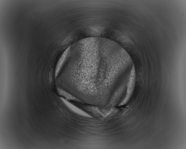 X0000087000131200705071513