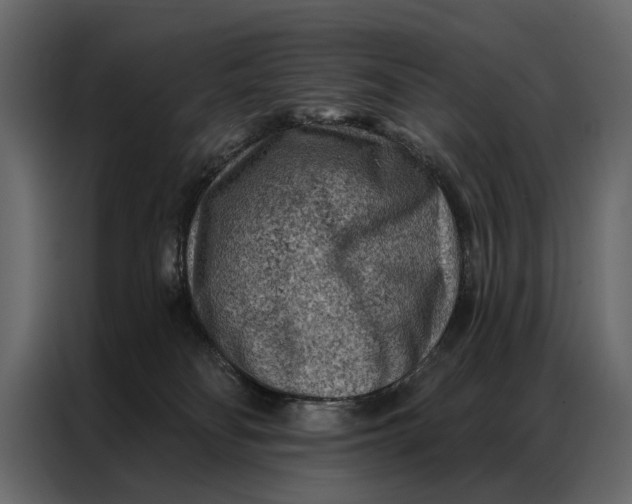 X0000087000134200705071513