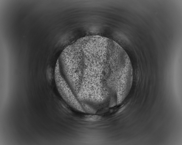 X0000087000135200705071513