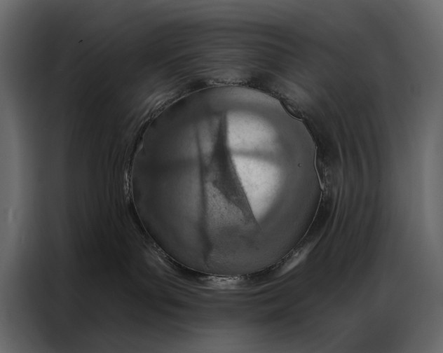 X0000087000143200705071513