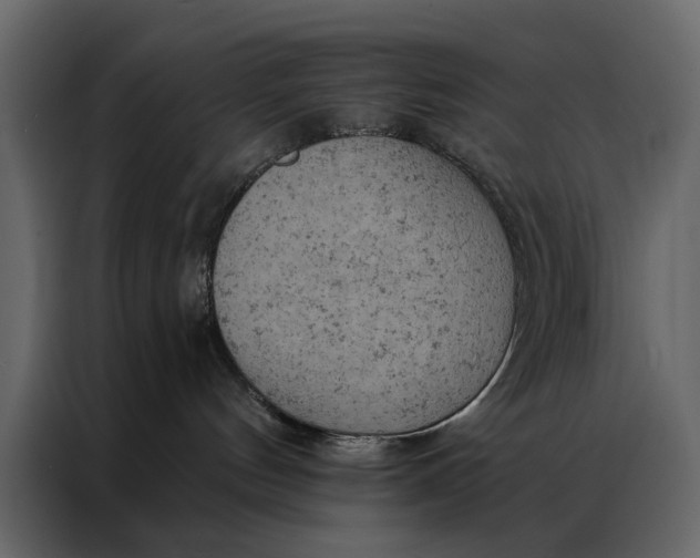 X0000087000144200705071513