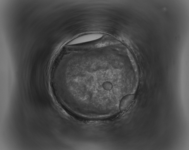 X0000087000145200705071513