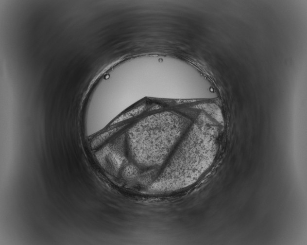 X0000087000146200705071513