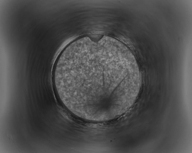 X0000087000147200705071513