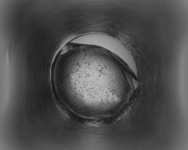 X0000087000148200705071513