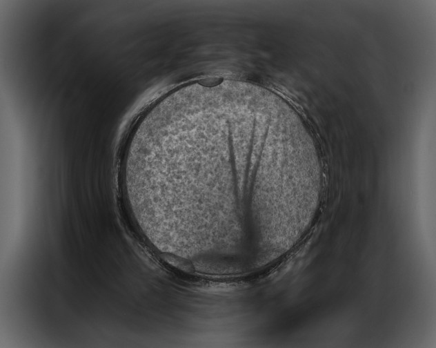 X0000087000149200705071513