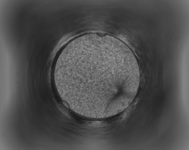 X0000087000151200705071513