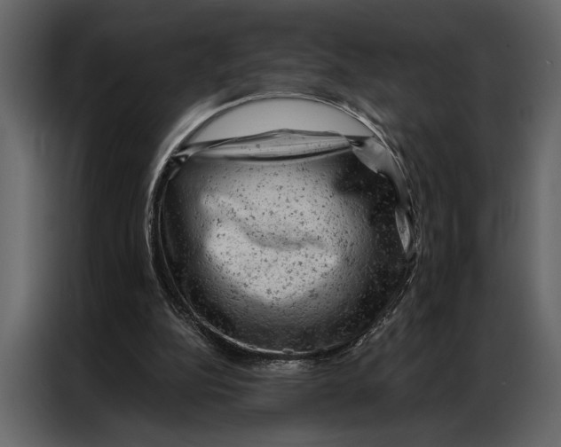 X0000087000152200705071513