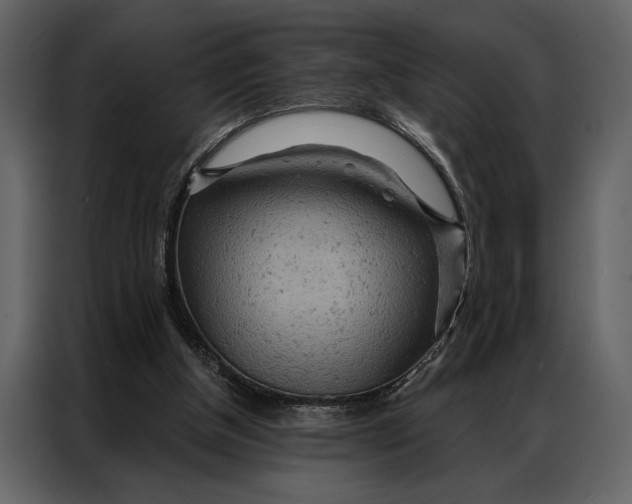 X0000087000154200705071513