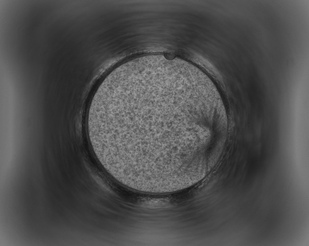 X0000087000155200705071513