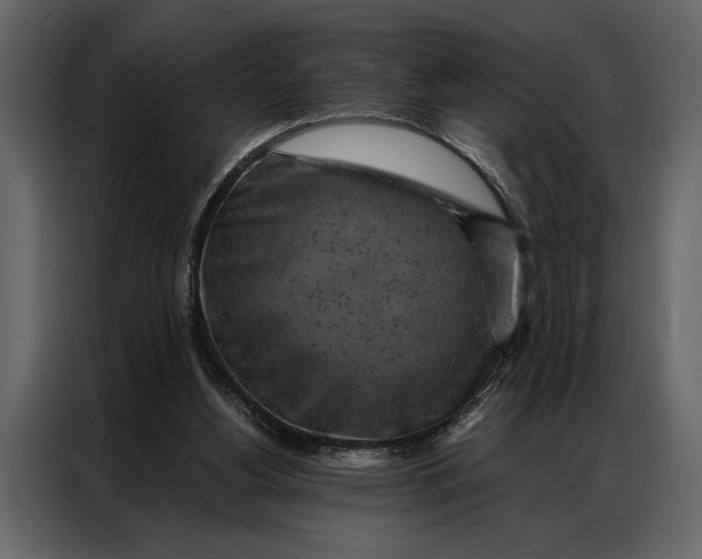 X0000087000156200705071513