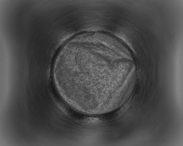 X0000087000159200705071513