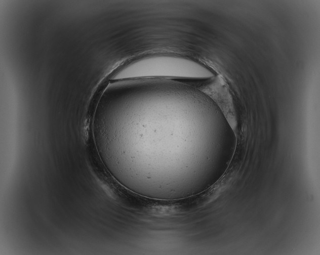 X0000087000160200705071513