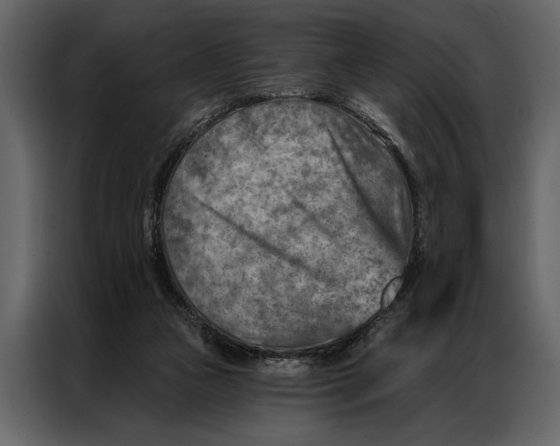 X0000087000161200705071513