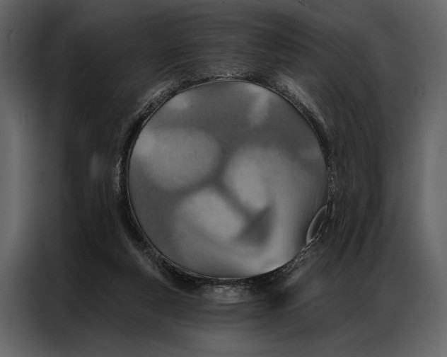 X0000087000163200705071513