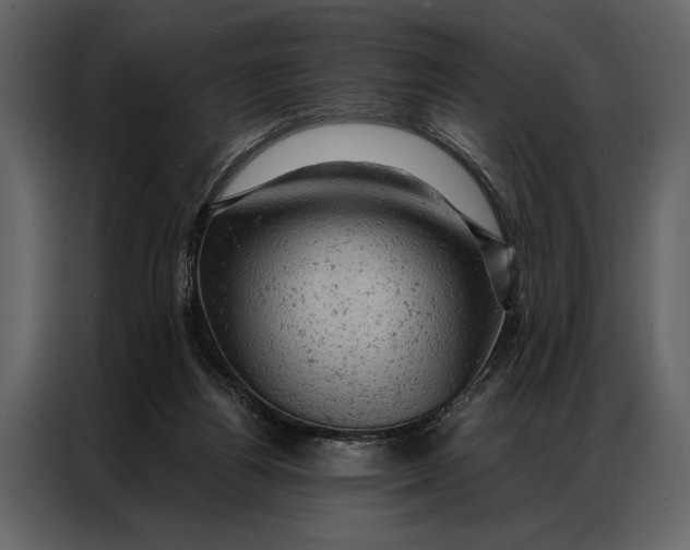 X0000087000164200705071513