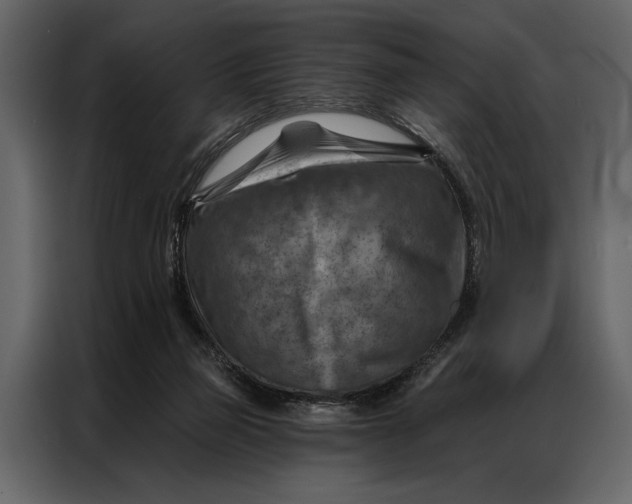 X0000087000165200705071513