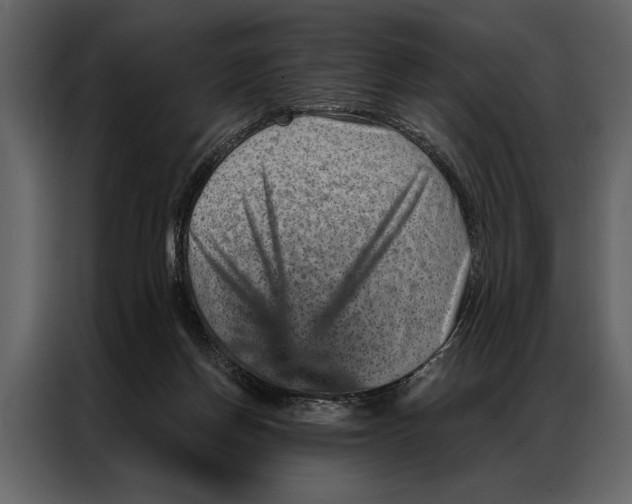 X0000087000166200705071513