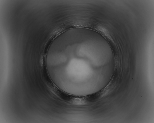 X0000087000167200705071513