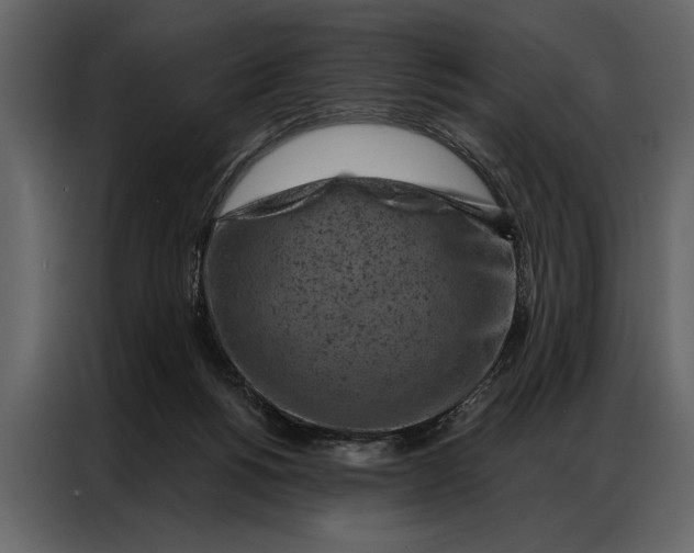 X0000087000168200705071513