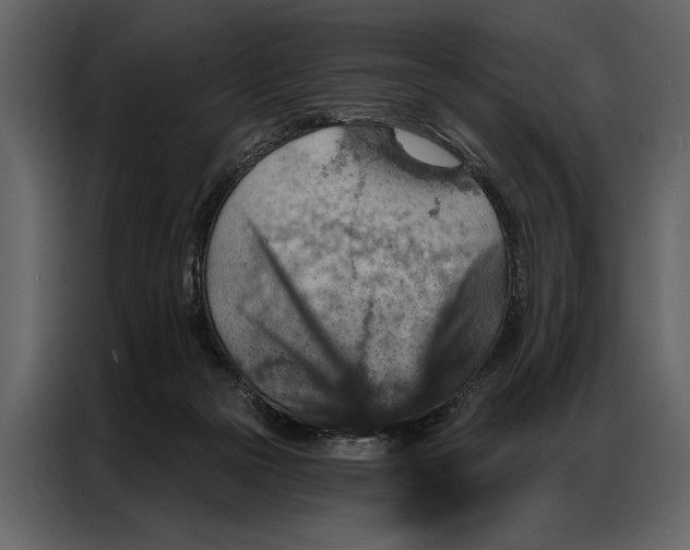 X0000087000169200705071513