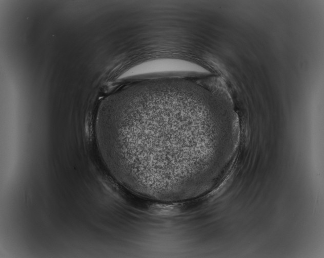 X0000087000170200705071513