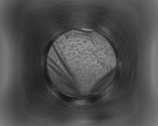 X0000087000171200705071513