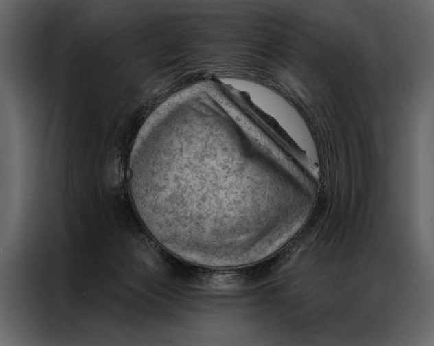 X0000087000173200705071513