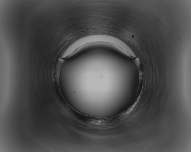 X0000087000174200705071513