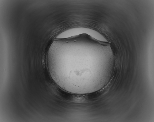 X0000087000175200705071513