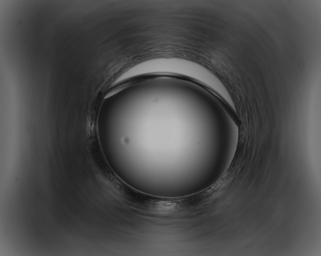 X0000087000176200705071513