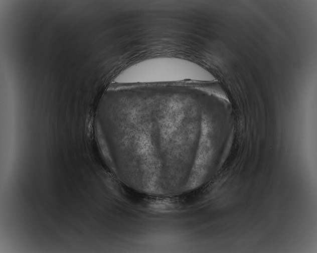 X0000087000177200705071513