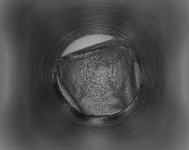 X0000087000178200705071513