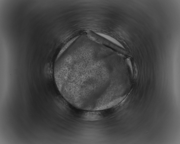 X0000087000179200705071513