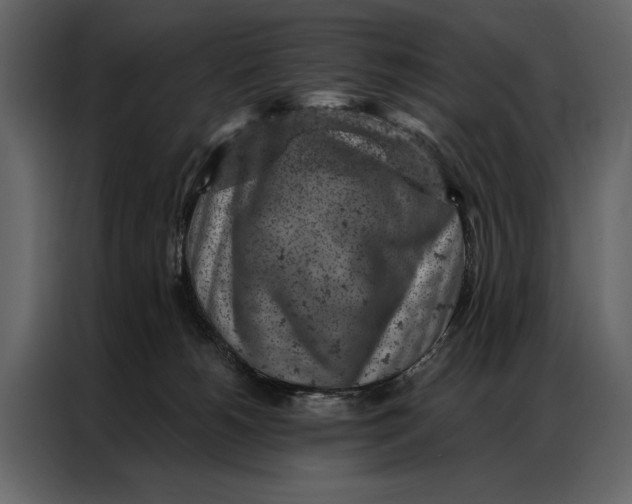 X0000087000180200705071513