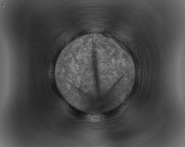 X0000087000181200705071513