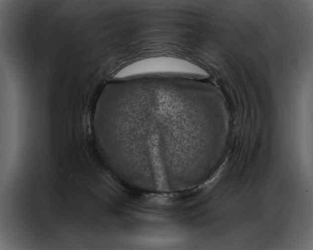 X0000087000182200705071513