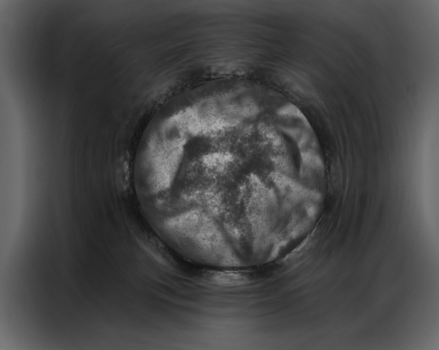 X0000087000183200705071513