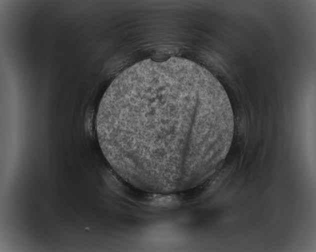 X0000087000185200705071513