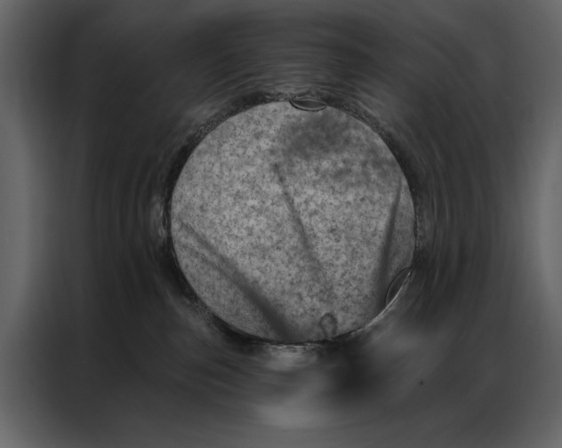 X0000087000187200705071513