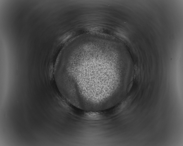 X0000087000189200705071513