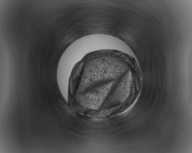 X0000087000190200705071513