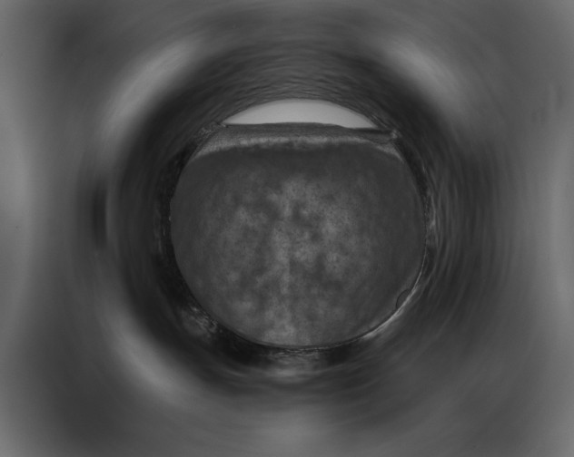 X0000087000191200705071513