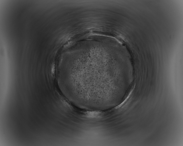 X0000087000192200705071513