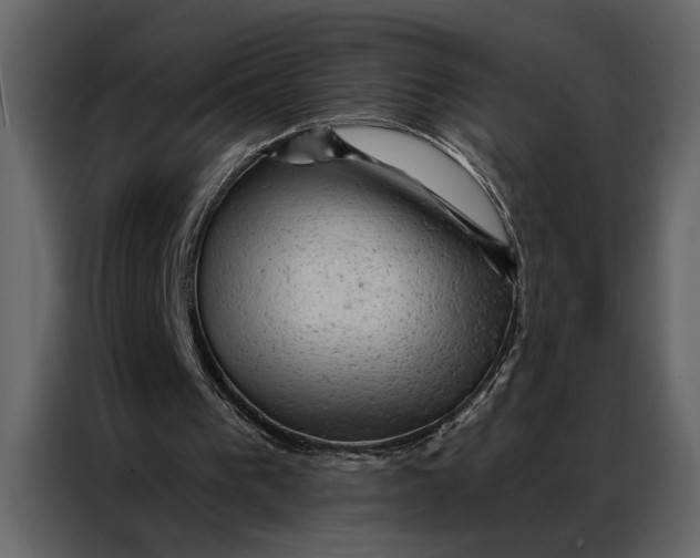 X0000087000193200705071513