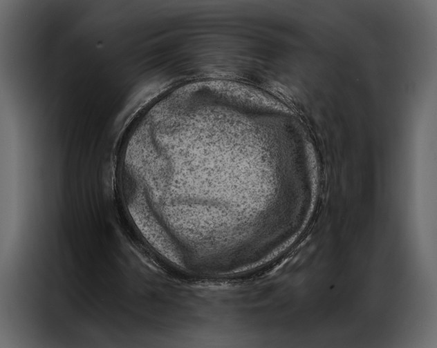 X0000087000194200705071513