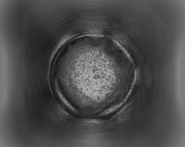 X0000087000195200705071513