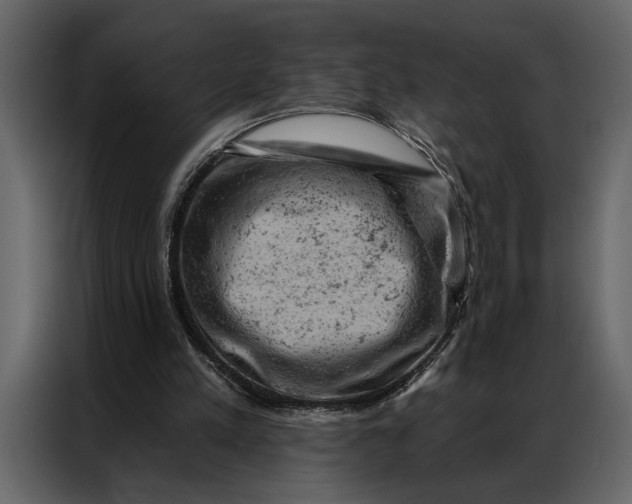 X0000087000197200705071513