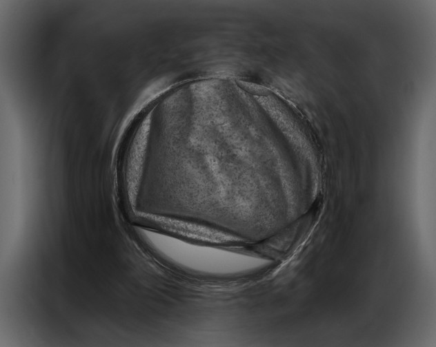 X0000087000198200705071513